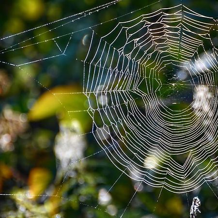 Apartmán Gawra Gustawa Ustrzyki Dolne Exteriér fotografie