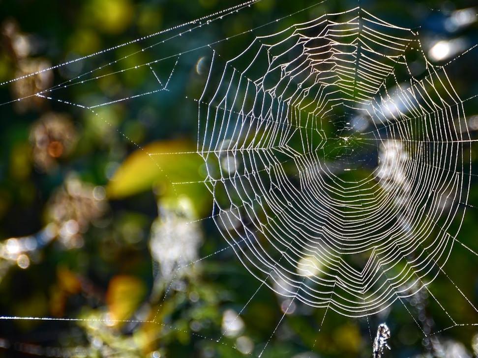 Apartmán Gawra Gustawa Ustrzyki Dolne Exteriér fotografie